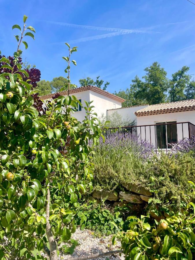 Superbe Villa Seillans La Grande Bastide Avec Piscine, Jardin, Climatisation Et Salle De Sport Eksteriør bilde