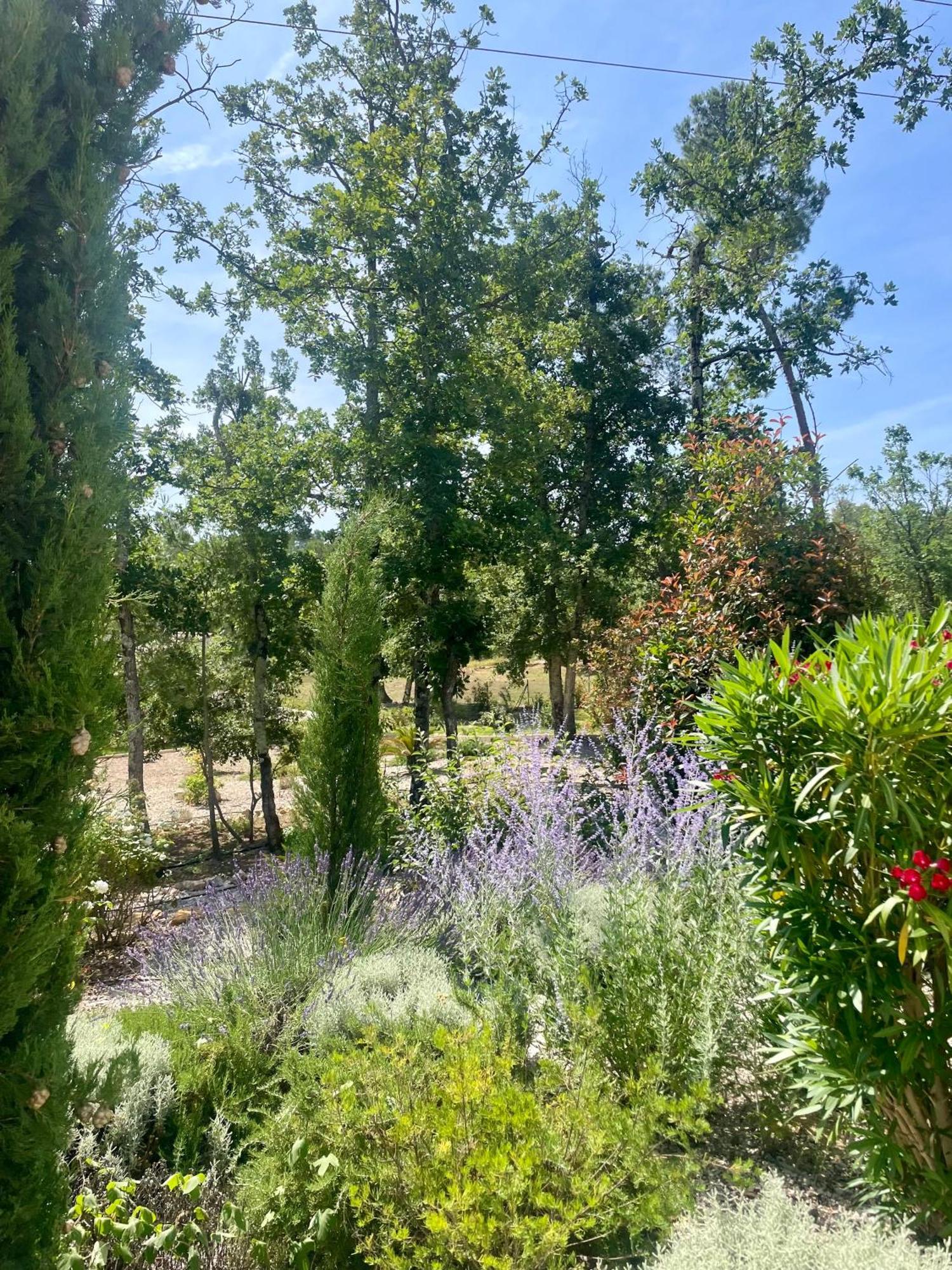Superbe Villa Seillans La Grande Bastide Avec Piscine, Jardin, Climatisation Et Salle De Sport Eksteriør bilde