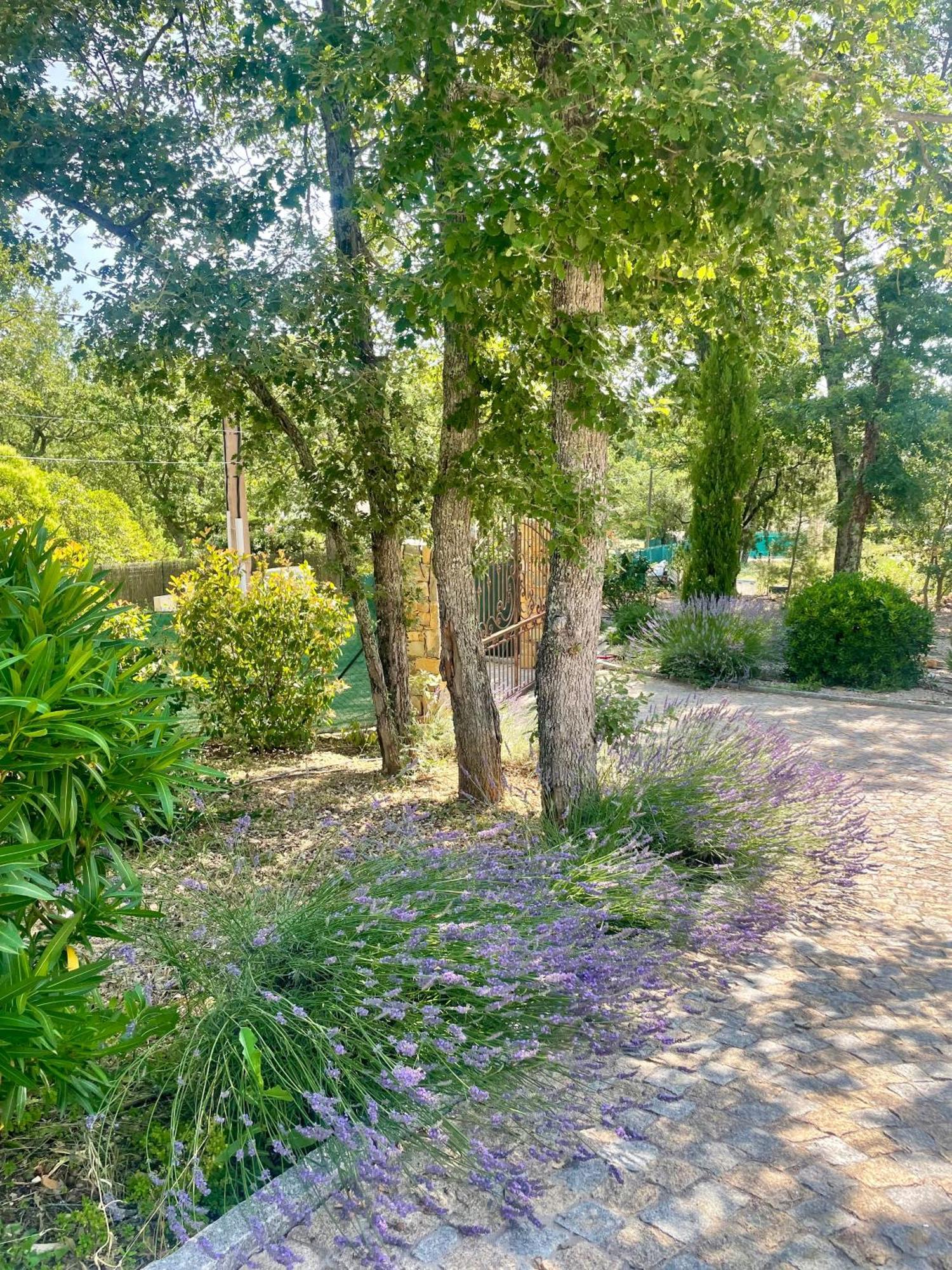 Superbe Villa Seillans La Grande Bastide Avec Piscine, Jardin, Climatisation Et Salle De Sport Eksteriør bilde