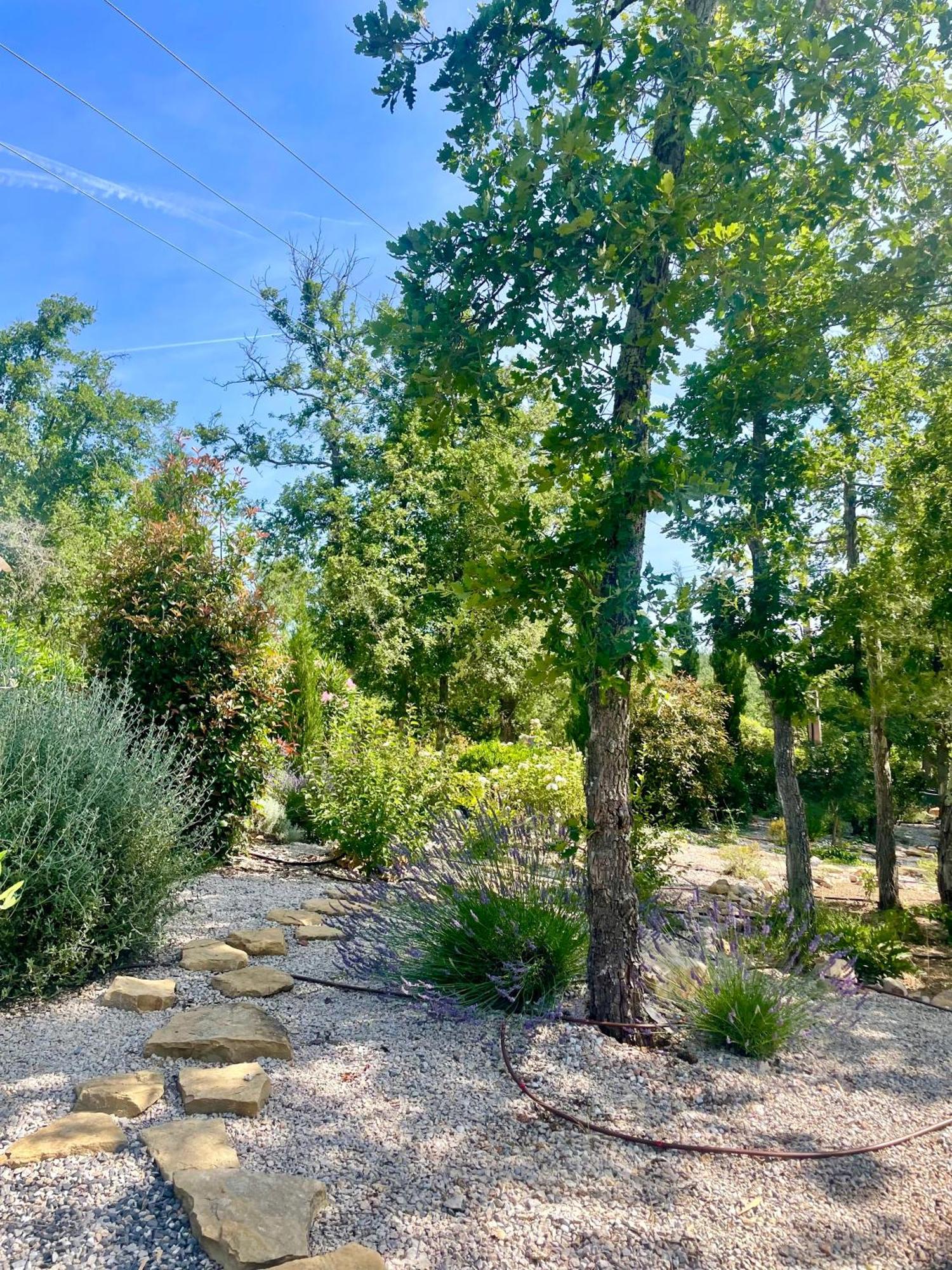Superbe Villa Seillans La Grande Bastide Avec Piscine, Jardin, Climatisation Et Salle De Sport Eksteriør bilde